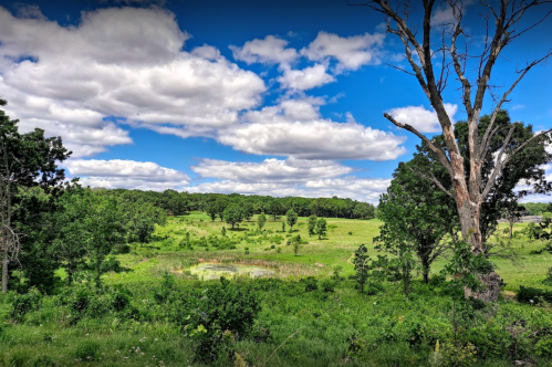 A lush green landscape with a pond, trees, and a bright blue sky dotted with fluffy clouds.