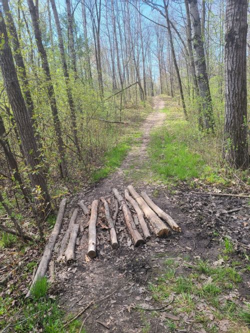A narrow dirt path through a forest, with logs placed across a muddy section. Green foliage surrounds the trail.