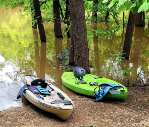 Two kayaks, one beige and one green, are parked on a muddy shore surrounded by flooded trees and brown water.