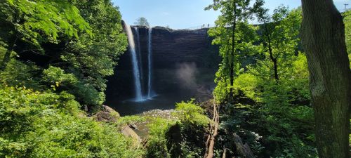 A serene waterfall cascades into a lush green forest, with sunlight filtering through the trees.
