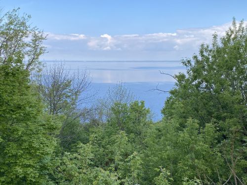 A serene view of a calm lake surrounded by lush green trees under a partly cloudy sky.