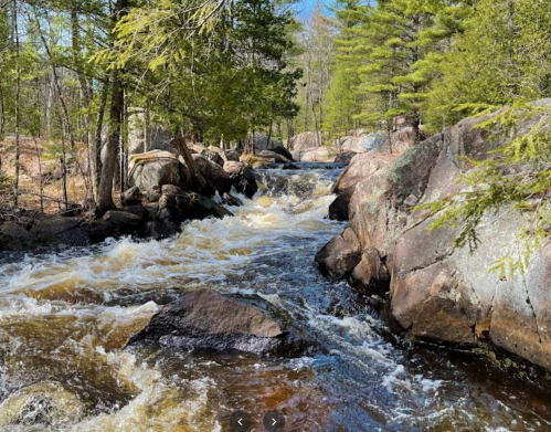 A flowing river surrounded by rocks and lush green trees under a clear blue sky.