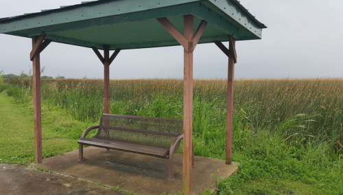 A wooden bench under a shelter, surrounded by tall grass and a cloudy sky in the background.