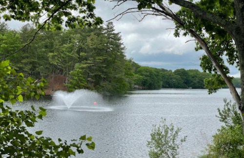 A serene lake surrounded by trees, featuring a fountain spraying water in the center under a cloudy sky.