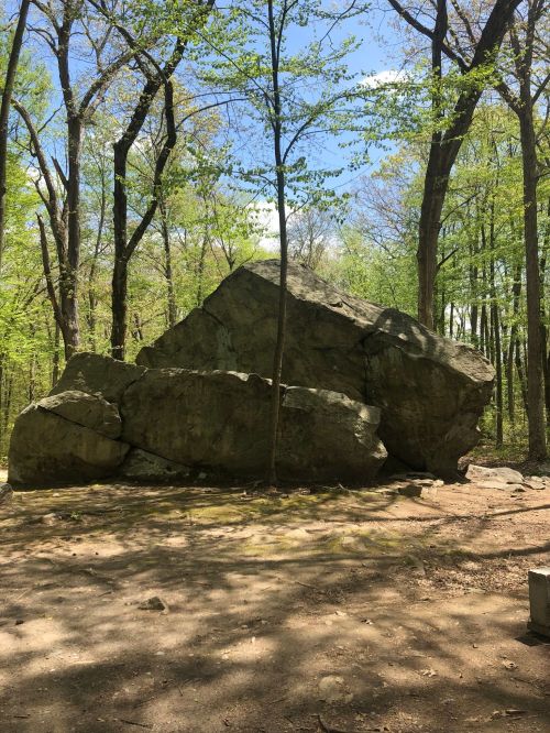 A large boulder sits in a forested area, surrounded by trees and dappled sunlight on the ground.