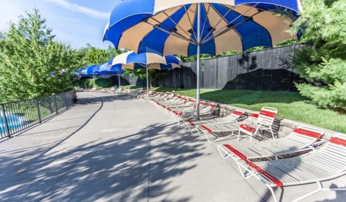 A poolside area with lounge chairs and large blue and white umbrellas, surrounded by greenery and a black fence.