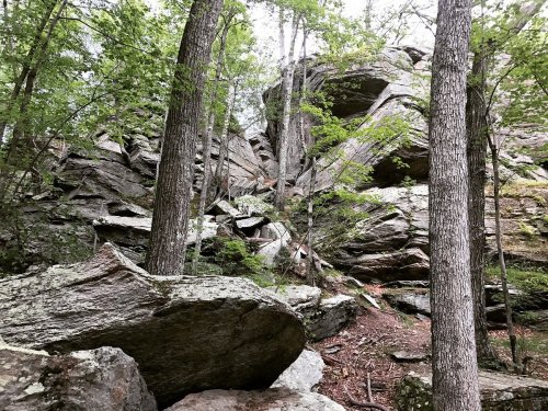 A rocky landscape surrounded by tall trees, showcasing large boulders and a natural, wooded environment.