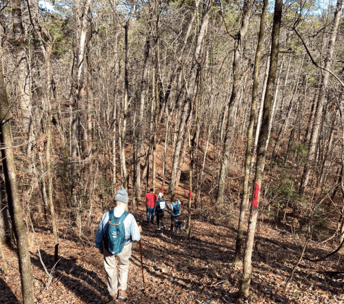 A group of hikers descends a wooded trail, surrounded by bare trees and fallen leaves on a sunny day.