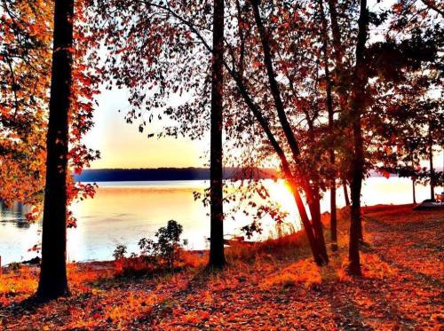 A serene lakeside scene at sunset, framed by trees with vibrant autumn leaves reflecting on the water.