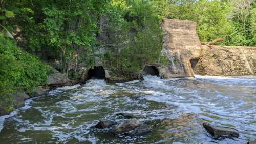 Water flows through concrete structures into a river, surrounded by lush greenery and rocky shoreline.