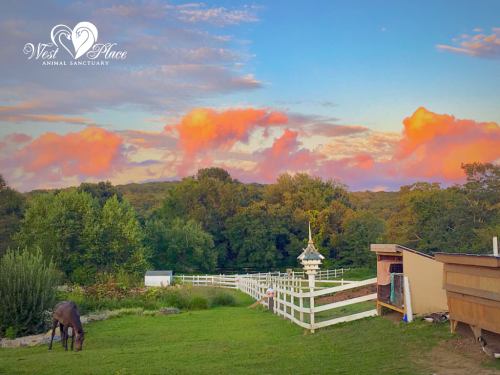 A serene landscape at sunset with a horse grazing, colorful clouds, and a white fence surrounding a sanctuary.