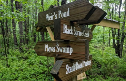 Wooden signpost in a forest, pointing to Weir's Pond, Black Spruce Creek, Plews Swamp, and Stack Road Parking.