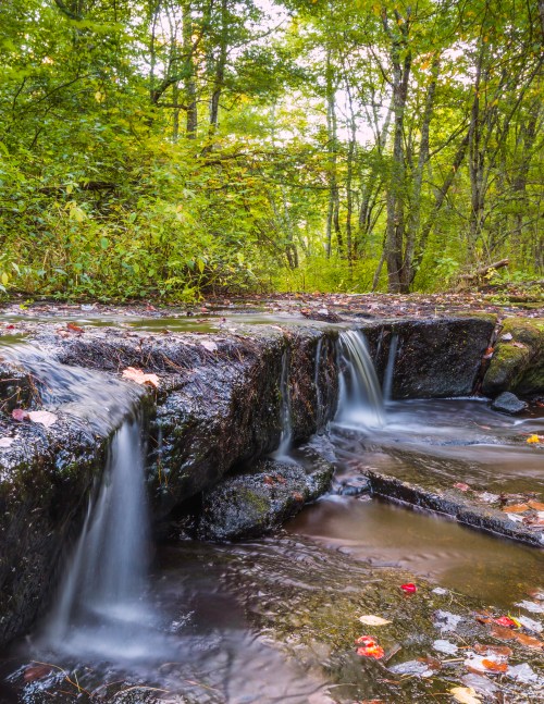 A serene forest scene featuring a small waterfall cascading over rocks, surrounded by lush greenery and fallen leaves.