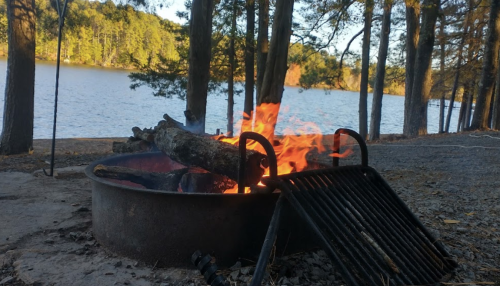 A campfire burns in a metal ring by a lake, surrounded by trees and a gravel path.