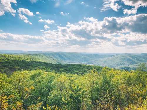 A panoramic view of lush green hills under a bright blue sky with fluffy clouds.