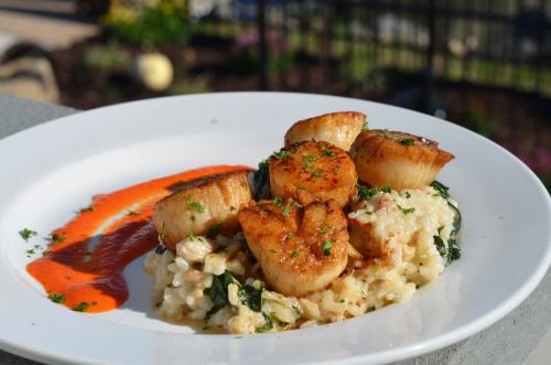 A plate of creamy risotto topped with seared scallops and a drizzle of red sauce, garnished with parsley.