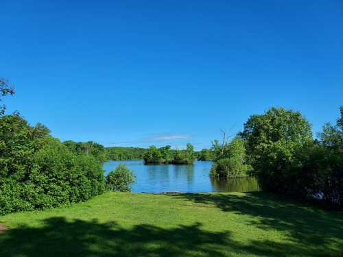 A serene lake surrounded by lush greenery under a clear blue sky.