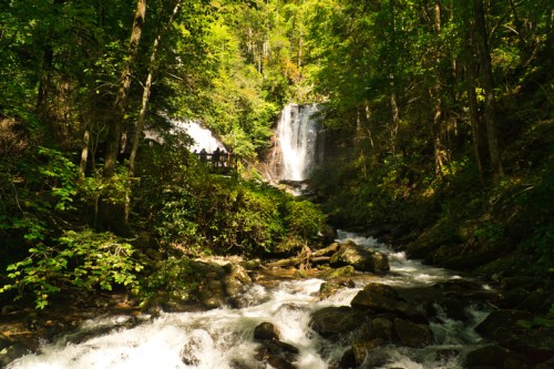 A serene forest scene featuring a waterfall cascading into a rocky stream, surrounded by lush green trees.