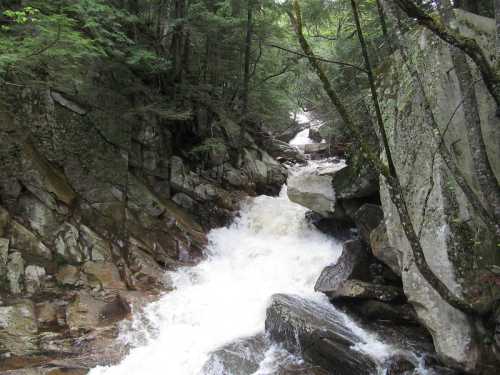 A rushing river flows through rocky terrain, surrounded by lush green trees and steep cliffs.