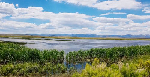 A serene landscape featuring a calm lake surrounded by lush greenery and distant mountains under a blue sky with clouds.