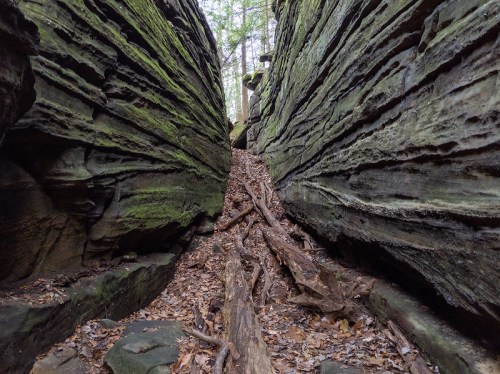 A narrow canyon with steep, moss-covered rock walls and a path of fallen branches and leaves on the ground.