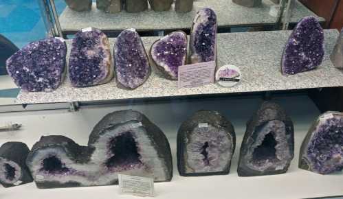 Display of various amethyst geodes in a showcase, showcasing their purple crystals and unique formations.