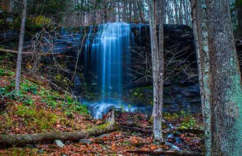 A serene waterfall cascades down a rocky cliff, surrounded by autumn foliage and tall trees in a tranquil forest setting.