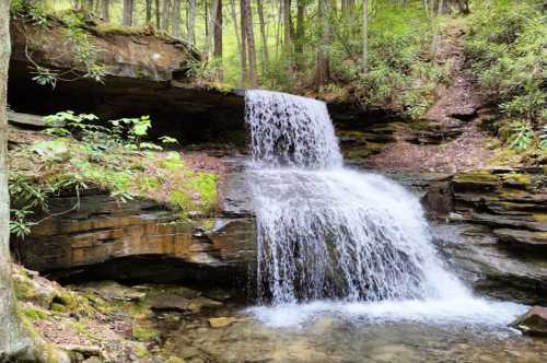 A serene waterfall cascades over rocky ledges, surrounded by lush green trees and foliage.