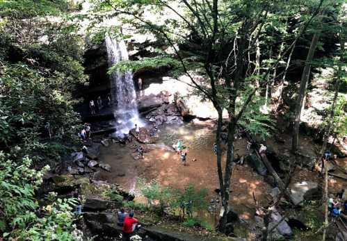 A scenic waterfall surrounded by lush trees, with people exploring the area and enjoying the natural beauty.