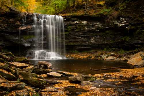 A serene waterfall cascades over rocks into a tranquil pool, surrounded by autumn foliage and fallen leaves.