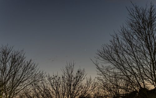 Silhouetted trees against a twilight sky, with a faint star visible in the upper right corner.