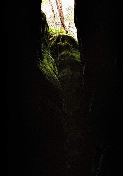 A narrow crevice in a dark cave, with light and greenery visible at the top.