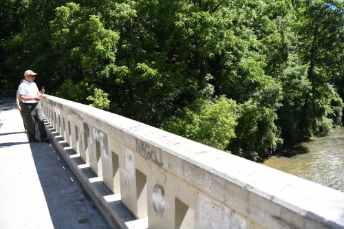 A person stands on a bridge overlooking a river, surrounded by lush green trees on a sunny day.