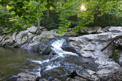 A serene forest scene featuring a small waterfall cascading over rocks into a calm pool, surrounded by lush greenery.