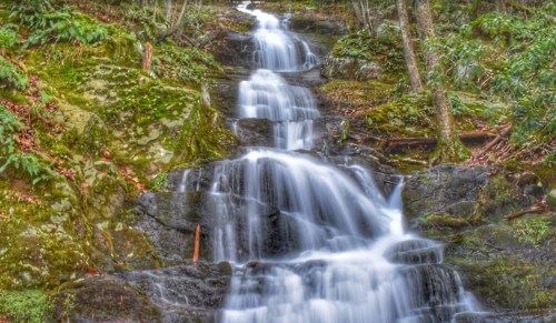 A serene waterfall cascading over moss-covered rocks, surrounded by lush greenery and trees.