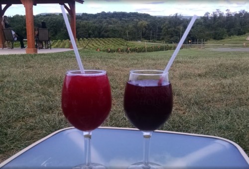 Two colorful drinks in glasses with straws sit on a table, with a vineyard and trees in the background.
