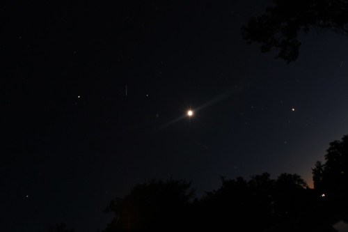 A night sky filled with stars, featuring a bright moon and a few visible planets, surrounded by dark silhouettes of trees.
