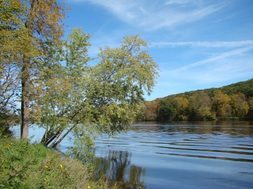 A serene river scene with trees along the bank and colorful autumn foliage under a clear blue sky.