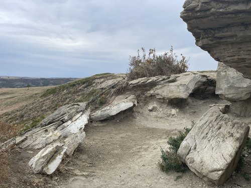 A rocky landscape with a small shrub, under a cloudy sky, showcasing natural formations and rolling hills in the background.