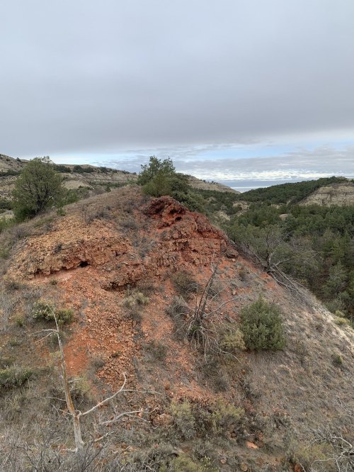 A rocky hillside with reddish soil, sparse vegetation, and a cloudy sky in the background.