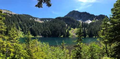 A serene lake surrounded by lush green trees and mountains under a clear blue sky.