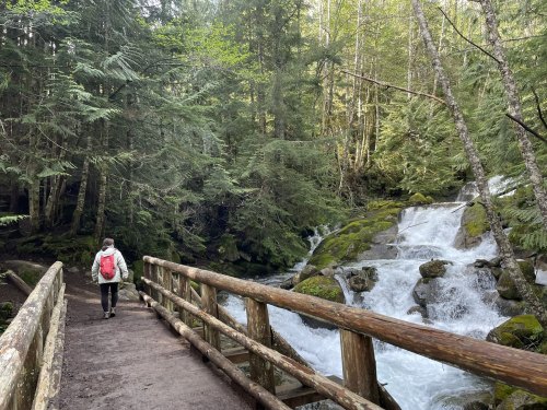 A person walks on a wooden bridge beside a flowing river in a lush, green forest.