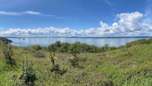 A panoramic view of a serene lake surrounded by lush greenery and a clear blue sky with scattered clouds.