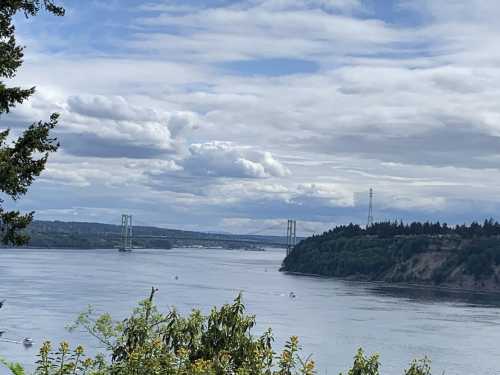 A scenic view of a river with a bridge in the distance, surrounded by trees and cloudy skies.