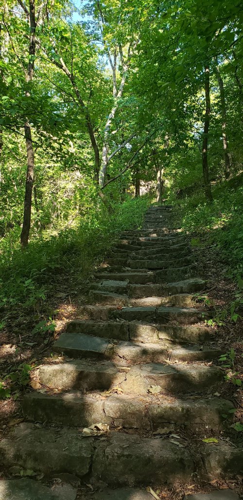 A stone pathway leads up through a lush, green forest with sunlight filtering through the trees.