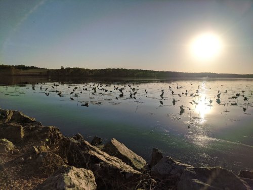 A serene lake at sunset, with rocks in the foreground and silhouettes of birds on the water's surface.