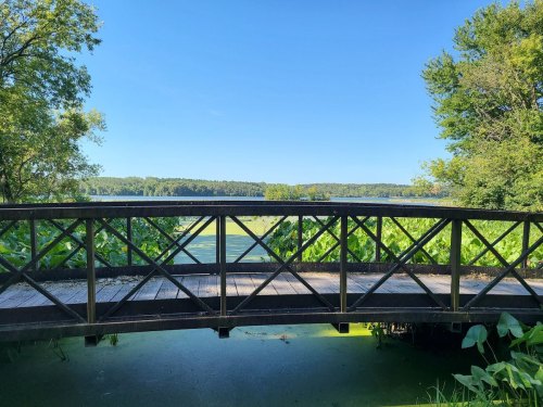 A wooden bridge spans a serene pond surrounded by lush greenery under a clear blue sky.