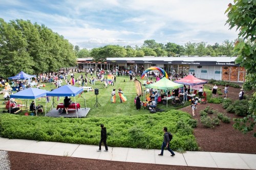 A vibrant outdoor event with tents, activities, and people enjoying a sunny day in a green park setting.