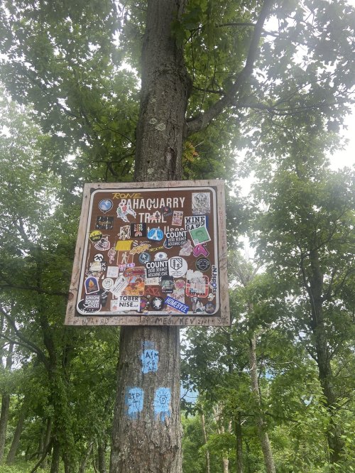 A wooden trail sign covered in stickers, mounted on a tree in a forested area.