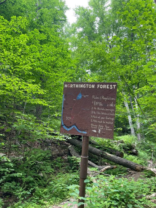 A wooden sign in a lush green forest, displaying rules and regulations for Worthington Forest.